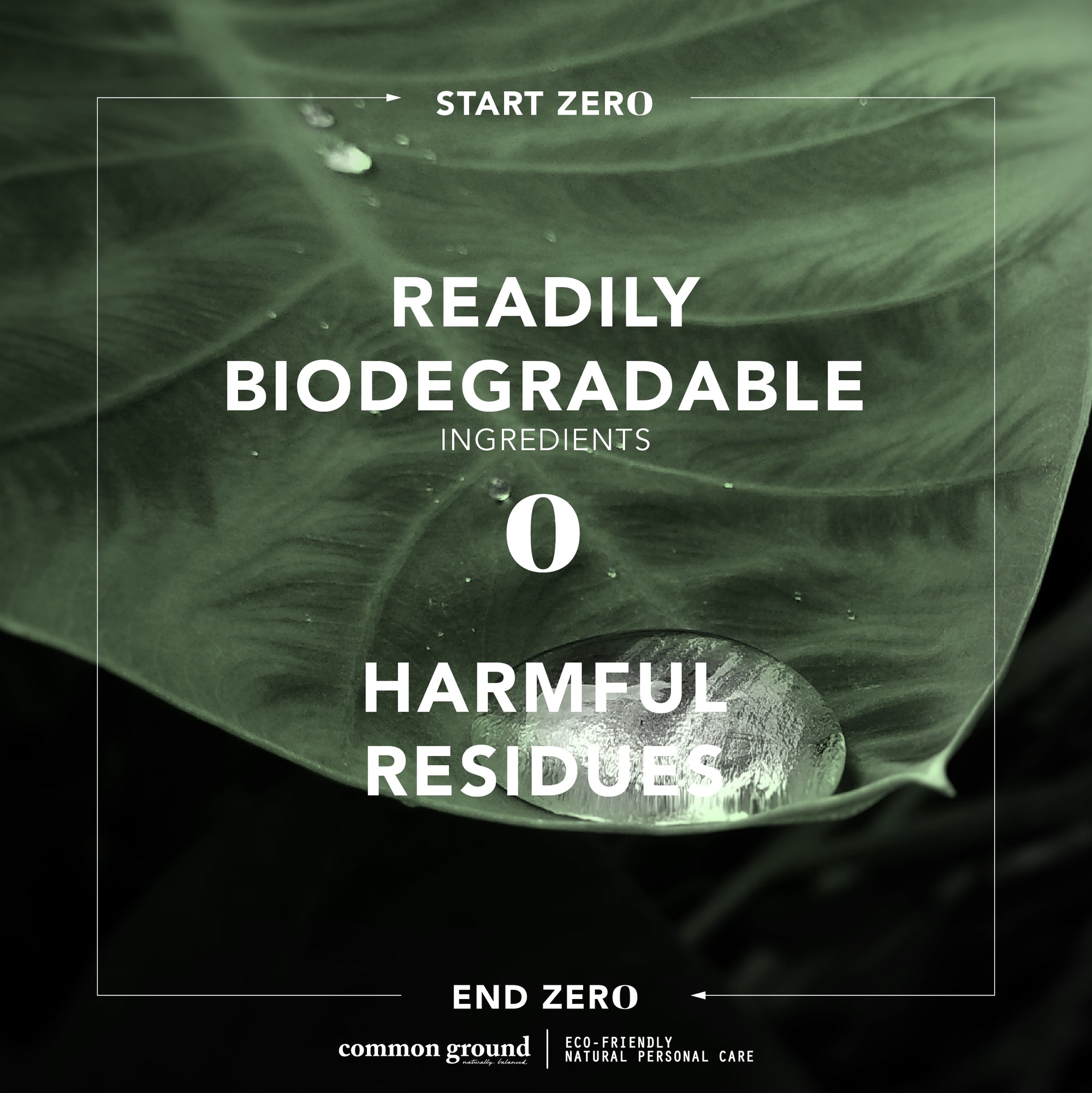 Readily Biodegradable