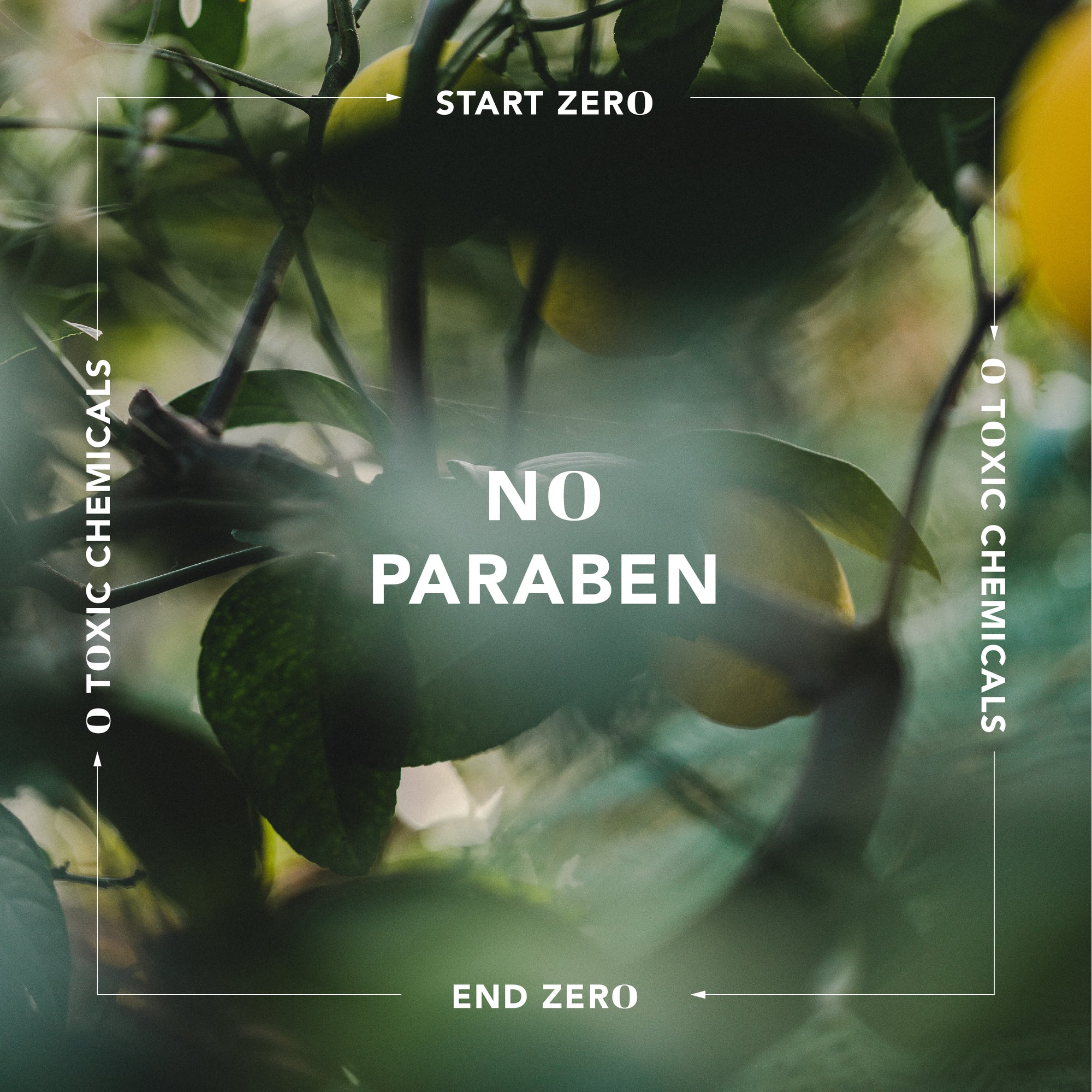 No Paraben