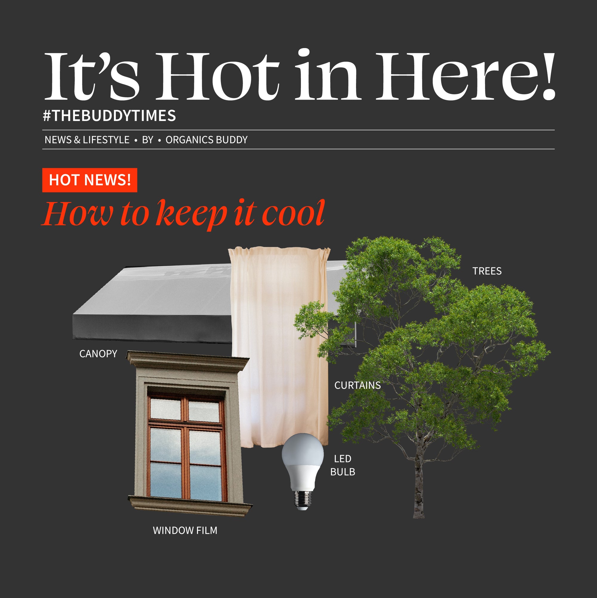 Ways to keep your house cool