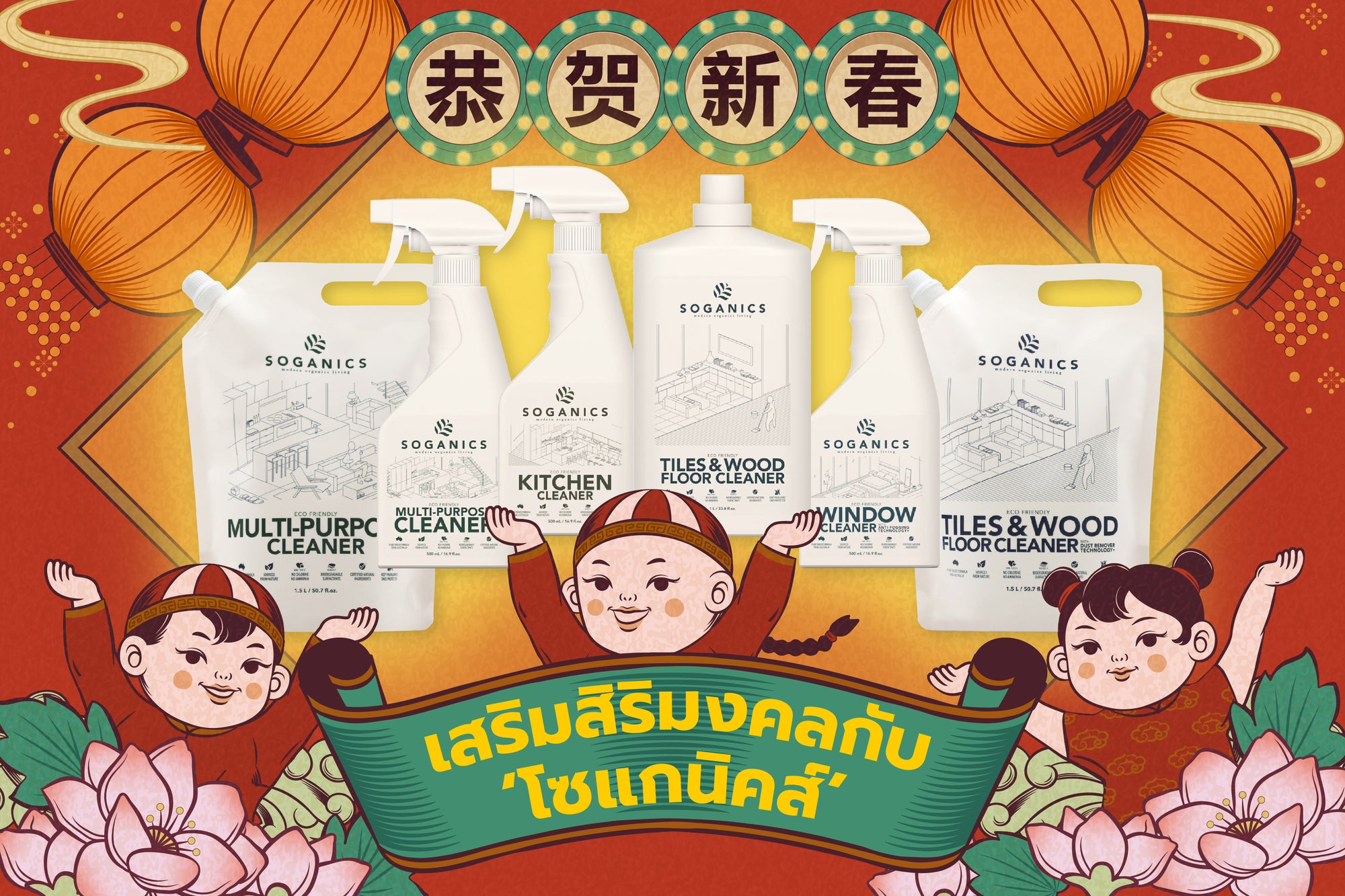 Cleaning House for Chinese New Year