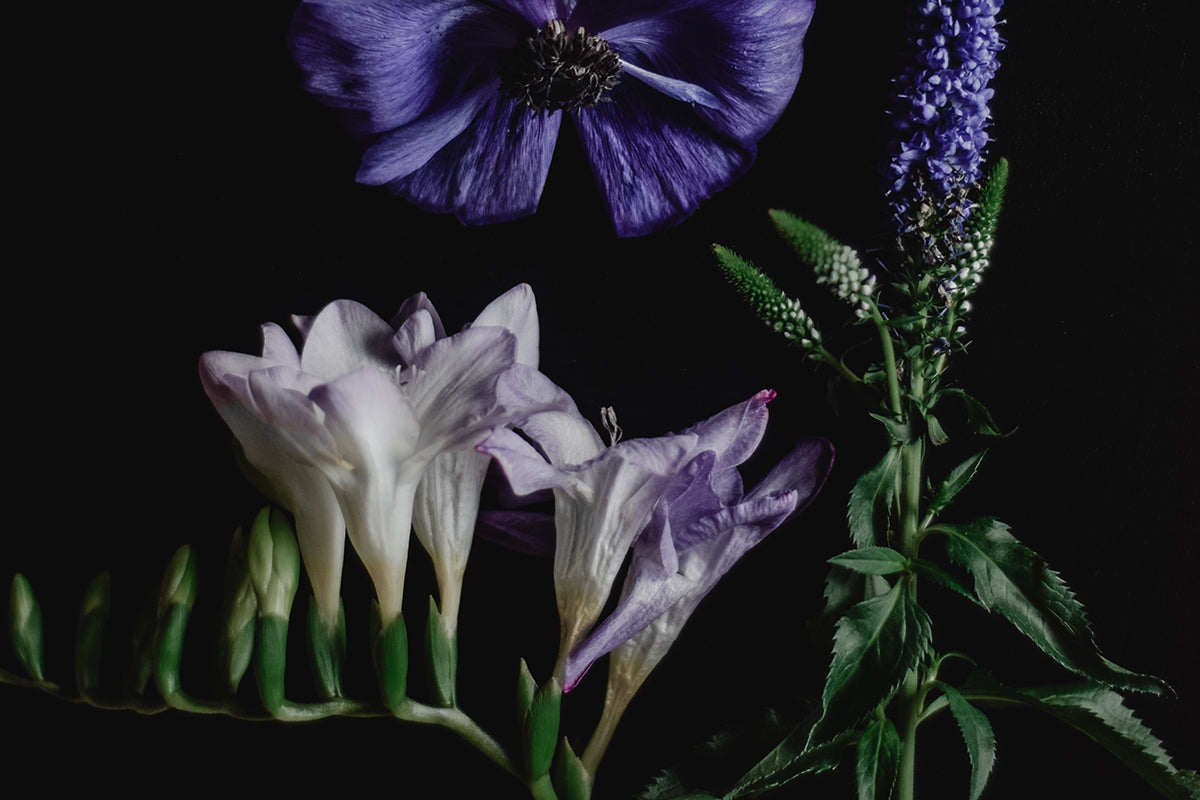 Botanical Scent