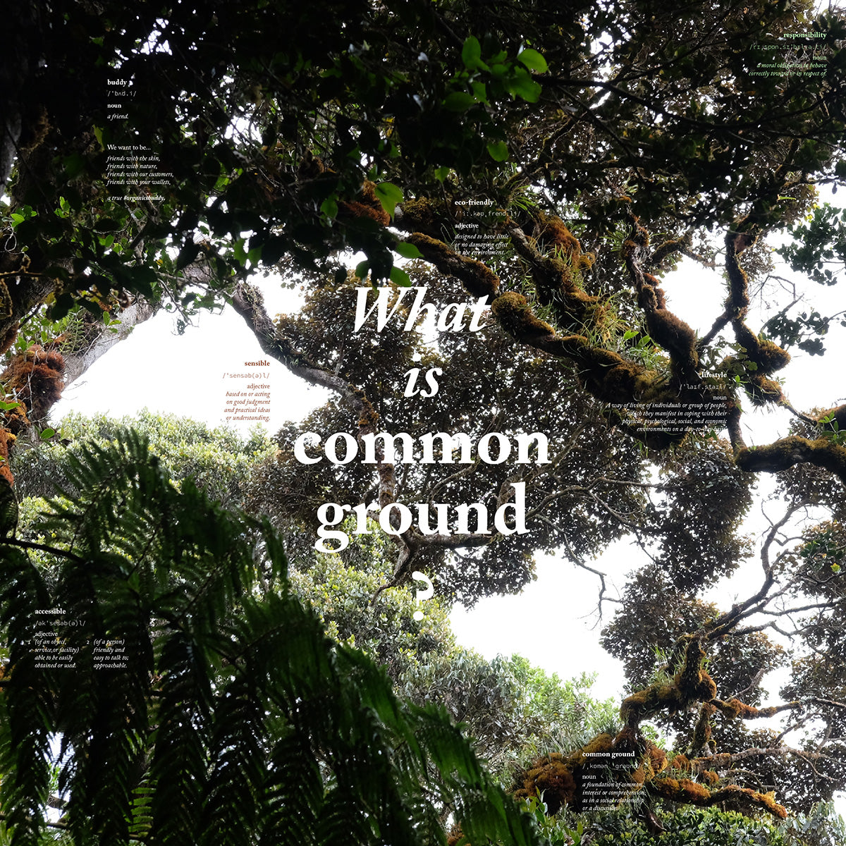 What is Common Ground?