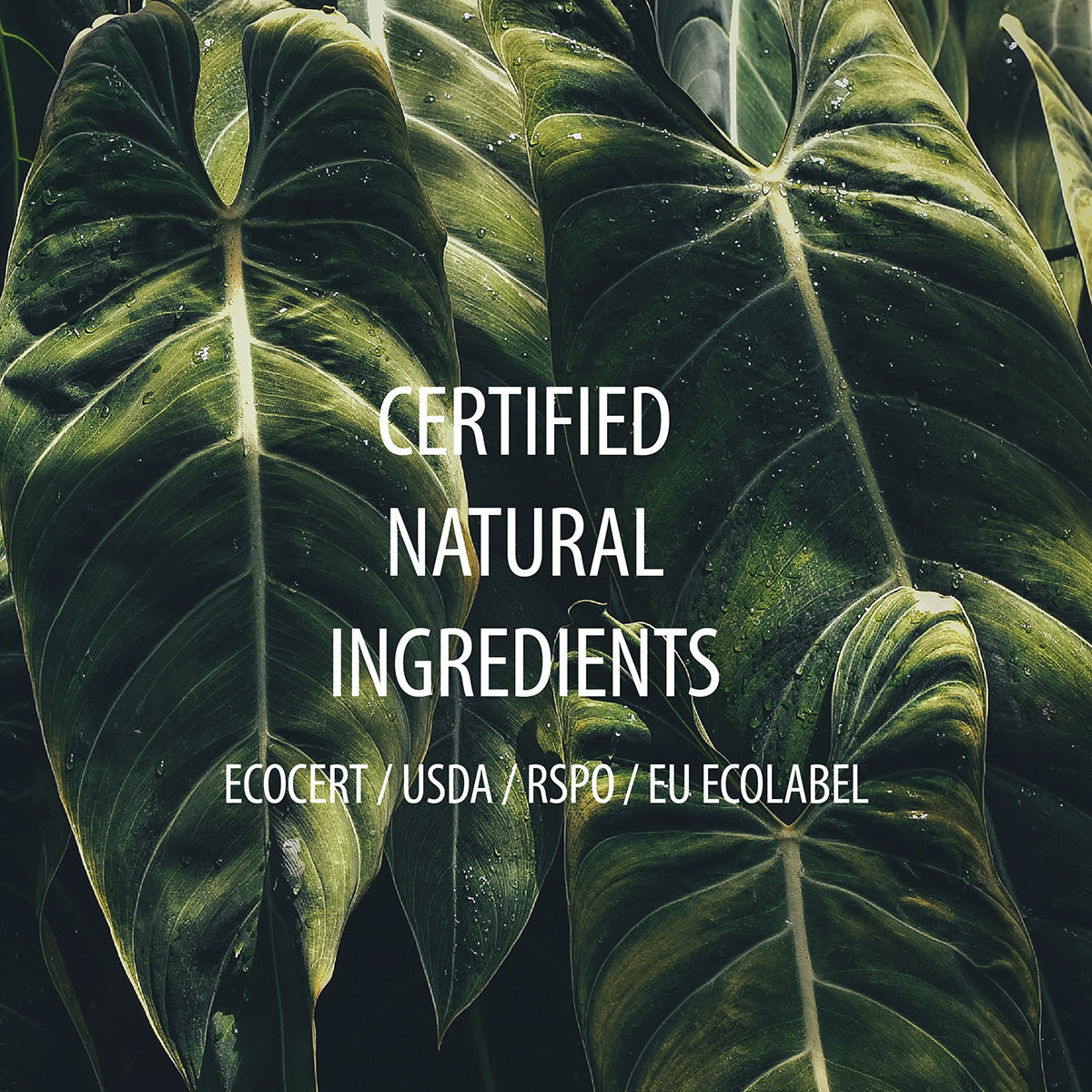 We Carefully Source Certified Natural Ingredients