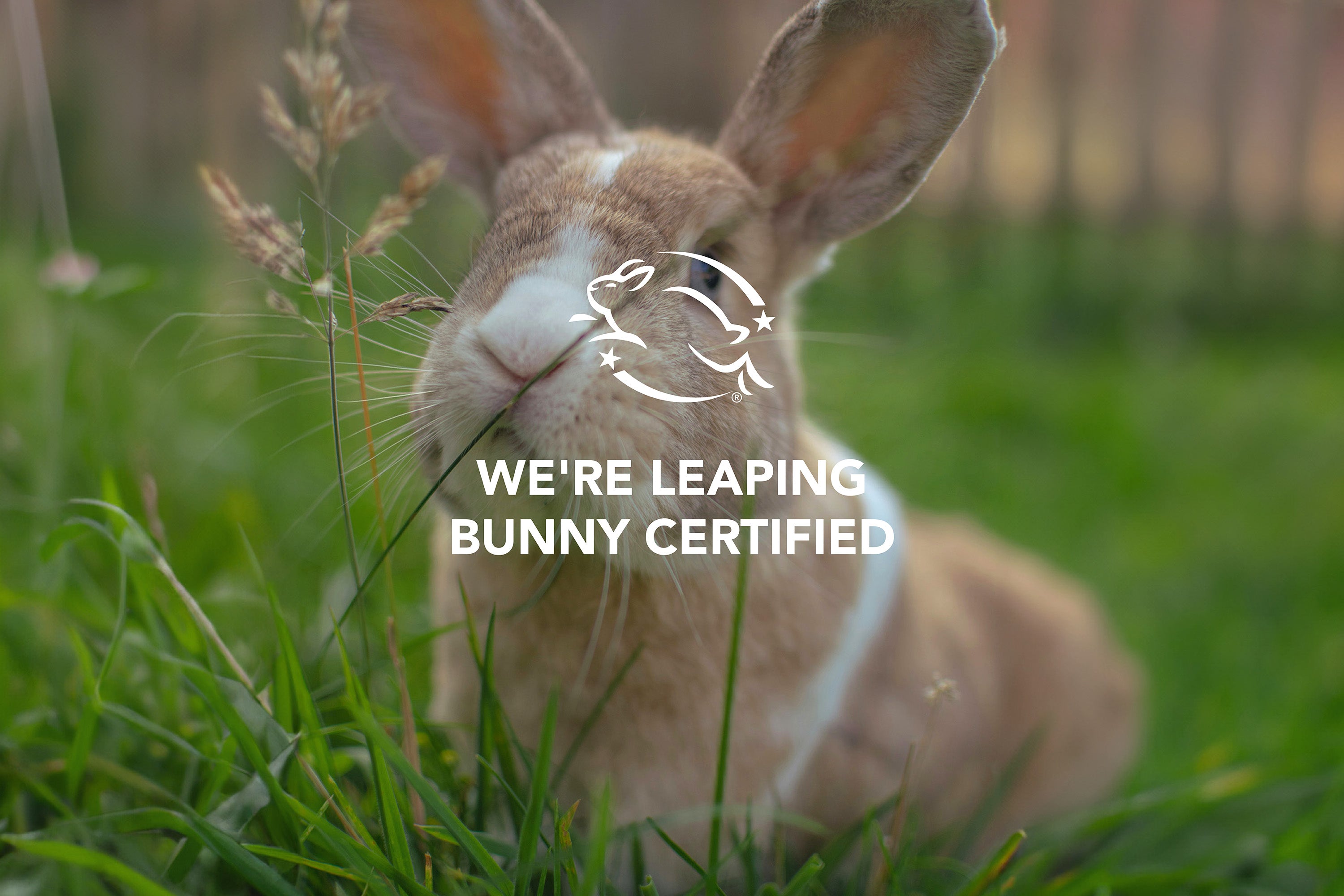 We're Leaping Bunny Certified!