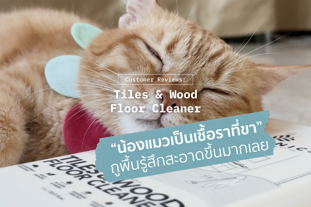 Review: 'น้องแมวเป็นเชื้อราที่ขา ถูพื้นรู้สึกสะอาดขึ้นมากเลย'