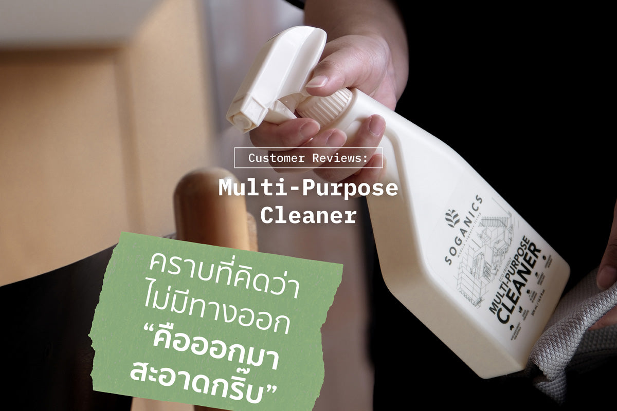 Review: 'คราบที่คิดว่าไม่มีทางออก คือออกมาสะอาดกริ๊บ'