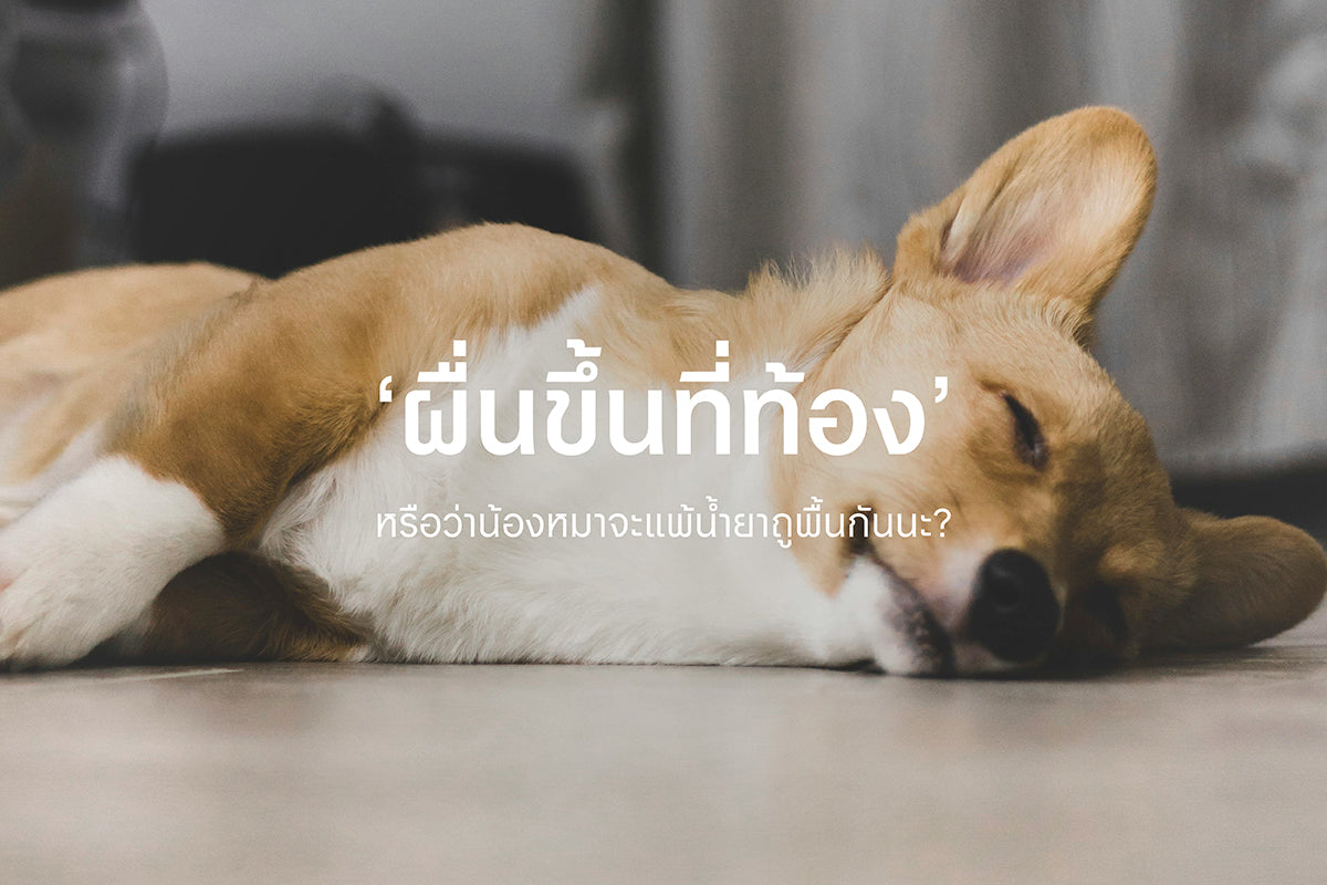 ผื่นที่ท้อง หรือว่าจะแพ้น้ำยาถูพื้นกันนะ?