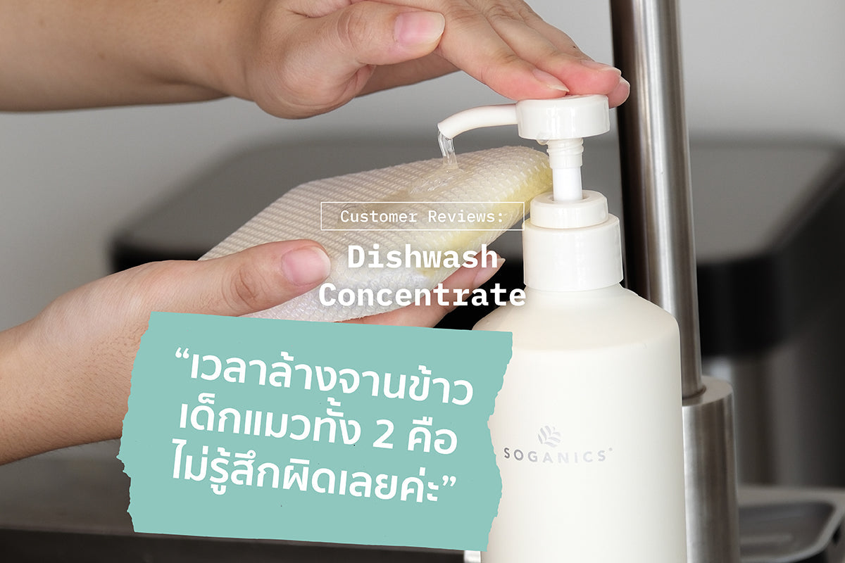Review: 'เวลาล้างจานข้าวเด็กแมวทั้ง 2 คือไม่รู้สึกผิดเลยค่ะ'