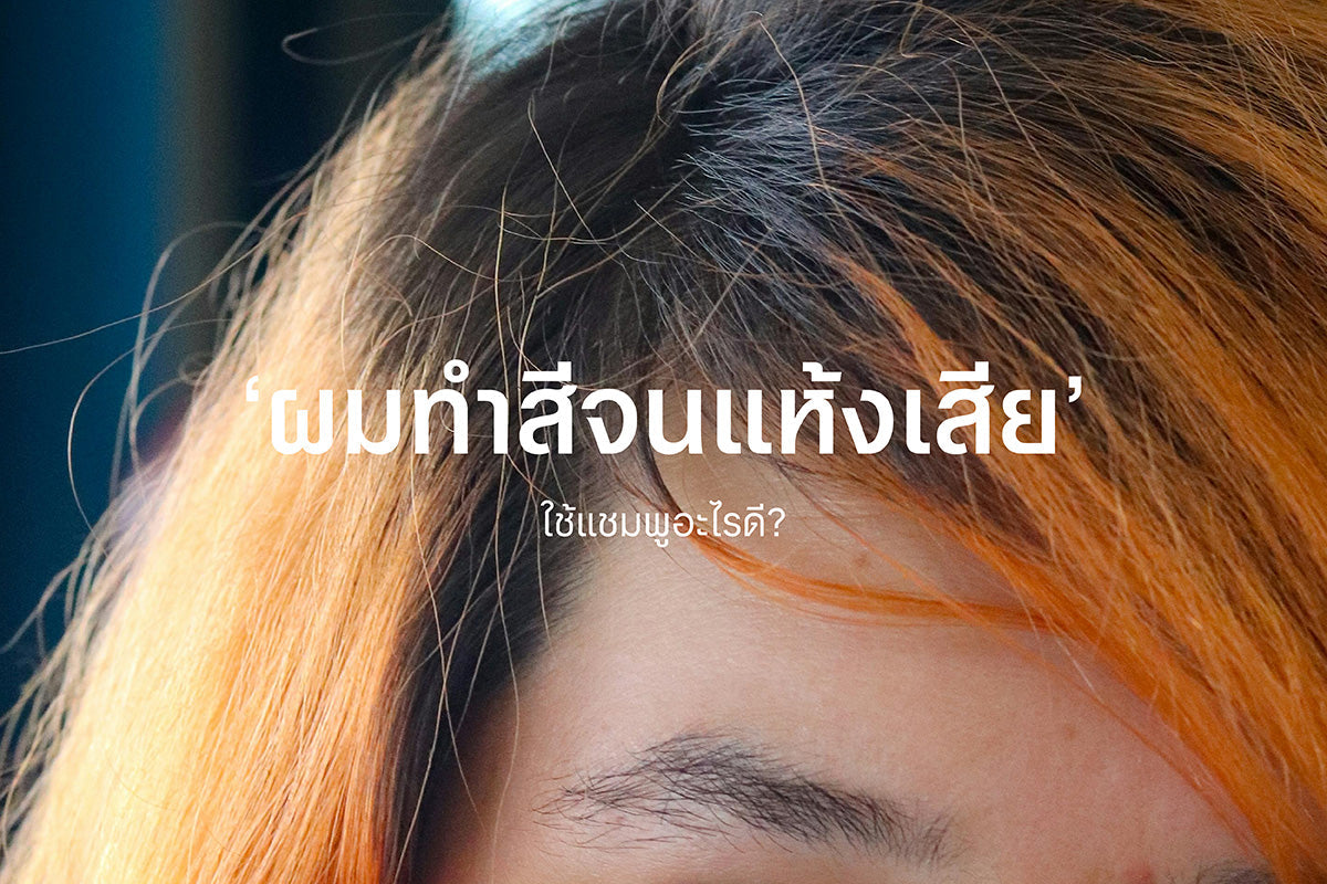 ทำสีจนผมแห้งเสียใช้แชมพูอะไรดี?